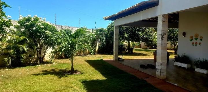 terreno de grama da casa
